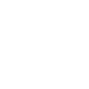 Test Drive To Go Logo